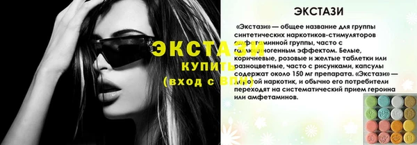 индика Новозыбков