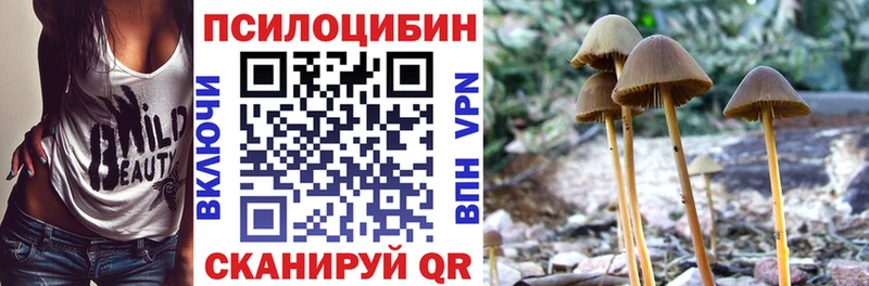 Галлюциногенные грибы GOLDEN TEACHER  купить наркотик  Салехард 