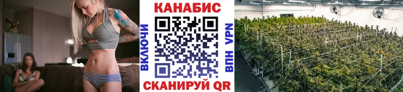 МАРИХУАНА семена  Салехард 